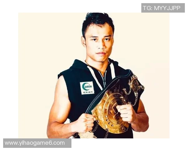 武林风西提猜对决科尔精彩瞬间回顾与赛后分析